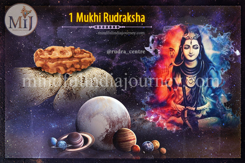 🔱 1 Mukhi Rudraksha