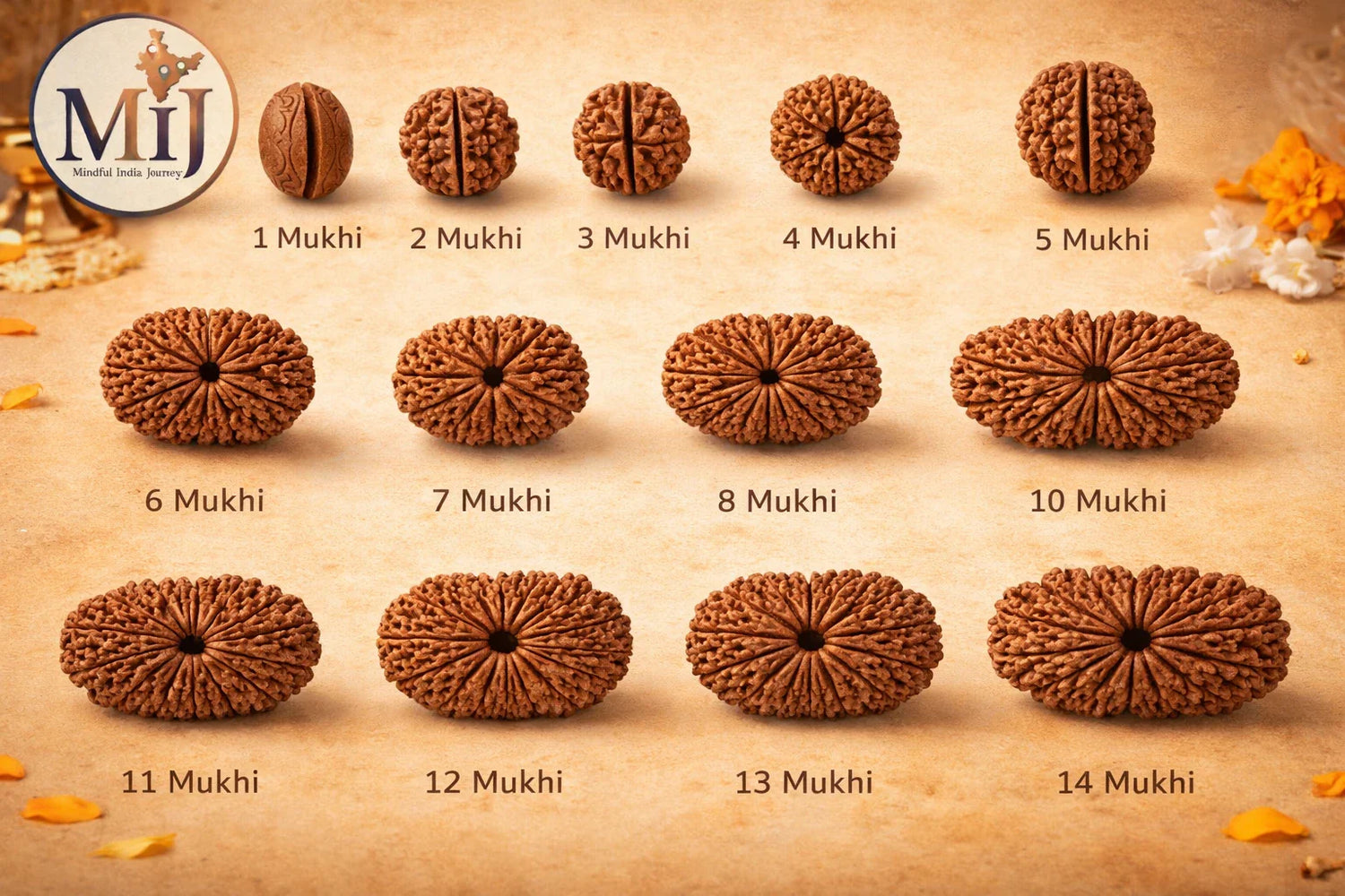 Rudraksha