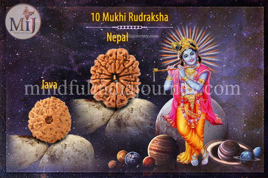 🔱 10 Mukhi Rudraksha